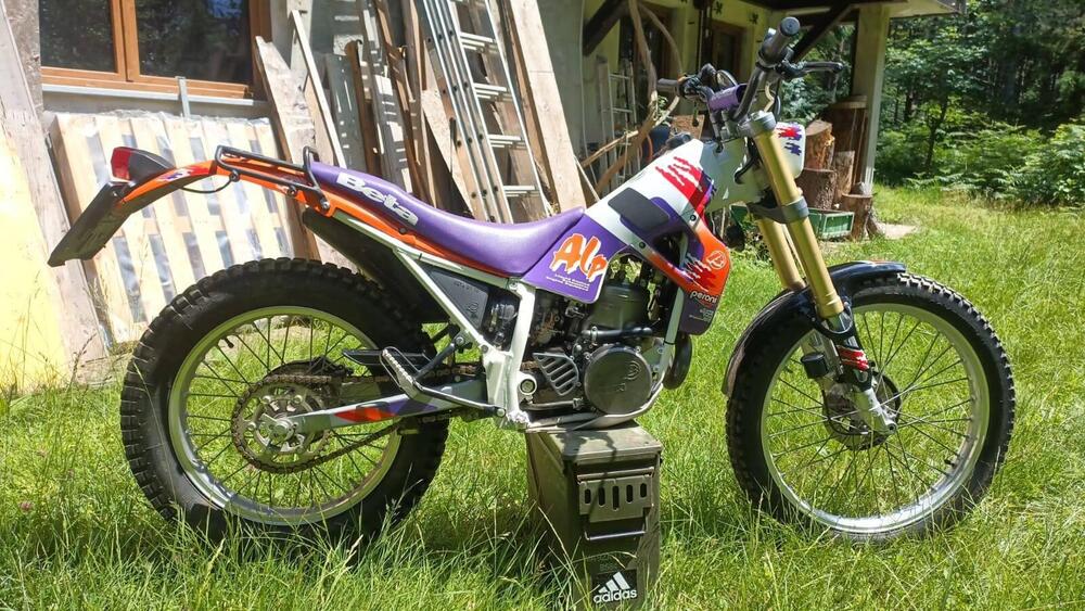 Betamotor alp 250 (3)