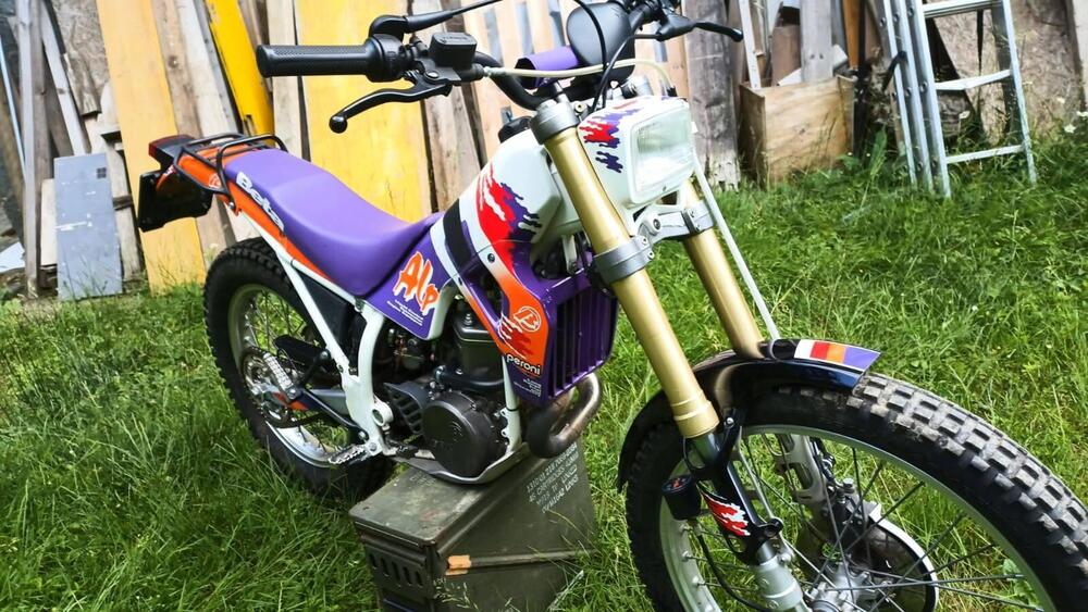 Betamotor alp 250 (4)