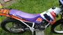 Betamotor alp 250 (6)