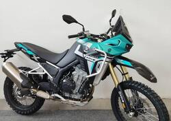 Kove 800 Rally (2025) nuova