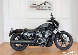 Harley-Davidson Nightster (2023 - 25) usata