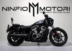 Harley-Davidson Nightster (2023 - 25) usata