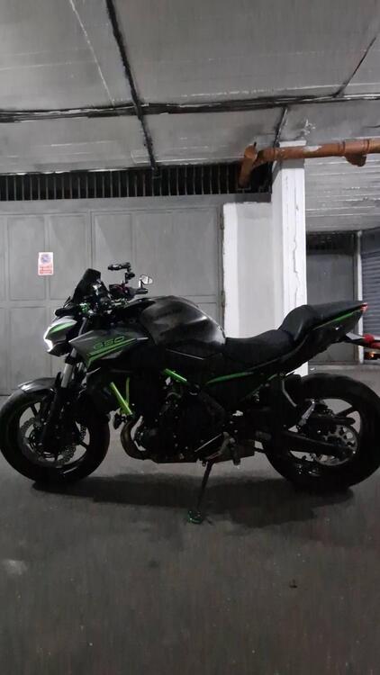 Kawasaki Z 650 Performance (2021 - 24) (5)