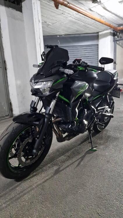 Kawasaki Z 650 Performance (2021 - 24) (4)