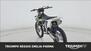 Triumph TF 250-X (2024 - 25) (6)
