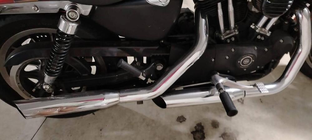 Harley-Davidson 883 R (2004 - 05) - XL 883R (4)