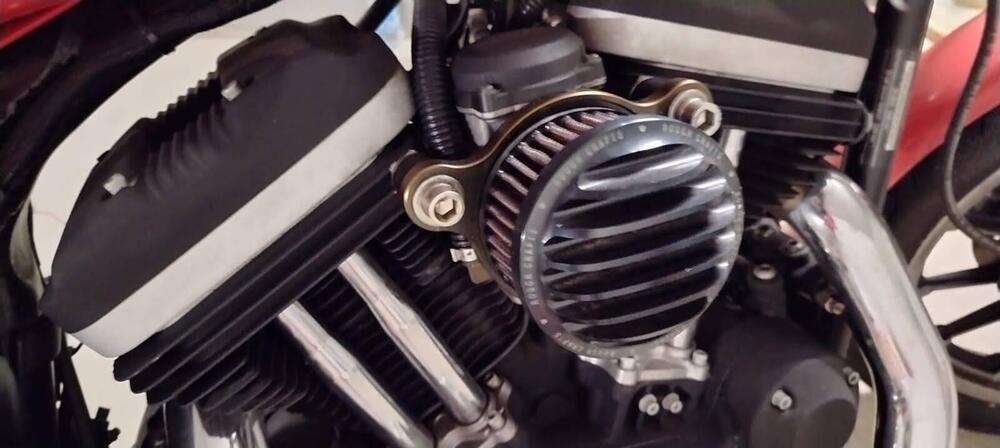 Harley-Davidson 883 R (2004 - 05) - XL 883R (5)