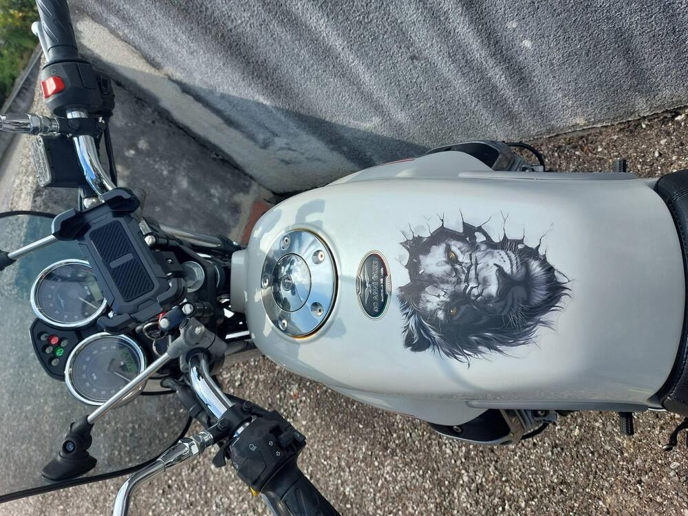 Moto Guzzi V7 Classic (2008 - 12) (5)