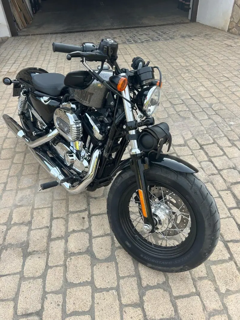 Harley-Davidson 1200 Forty-Eight (2016 - 20) (6)