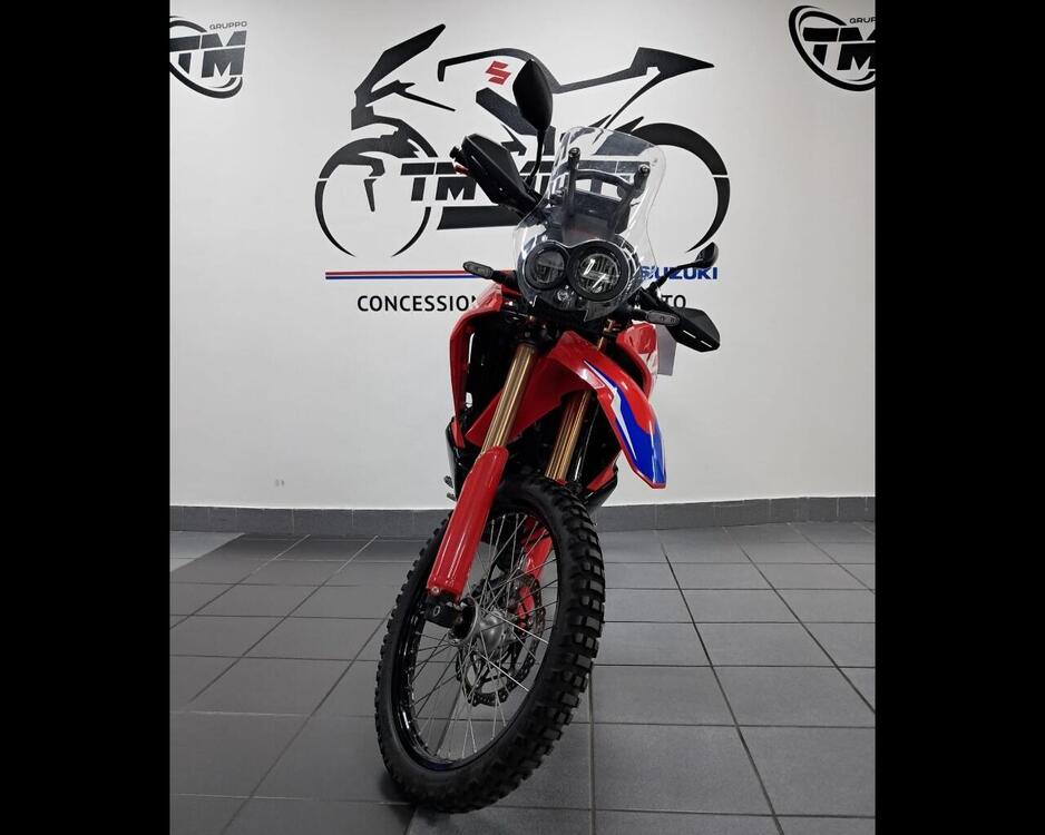 Honda CRF 300 Rally (2021 - 24) (5)
