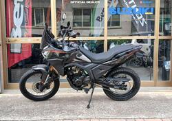 Morbidelli T125X (2025) nuova