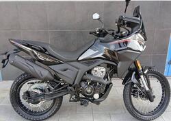 Morbidelli T125X (2025) nuova