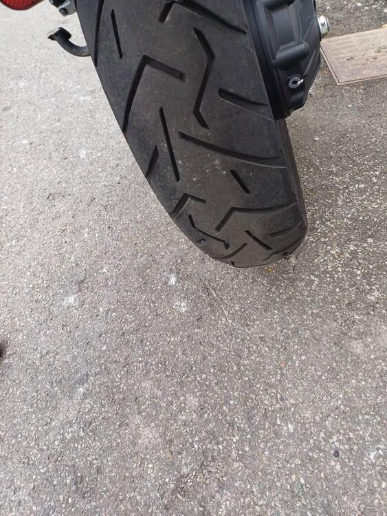 Moto Guzzi V85 TT (2019 - 20) (3)