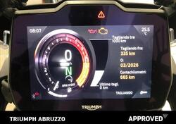 Triumph Tiger 1200 GT Pro (2024 - 25) usata
