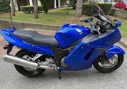 Honda CBR 1100 XX Superblackbird (1999 - 00) usata