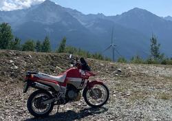 Suzuki DR Big 800 S usata