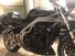 Triumph Speed Triple 955 (2002 - 04) (9)