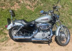 Harley-Davidson 883 Custom (2008 - 12) - XL 883C usata
