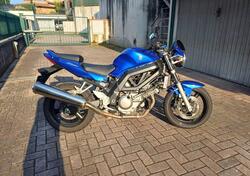 Suzuki SV 650 (2003 - 06) usata