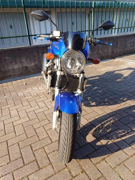 Suzuki SV 650 (2003 - 06) (3)