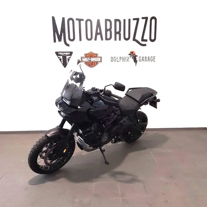 Harley-Davidson Pan America 1250 Special (2020 - 25) (4)