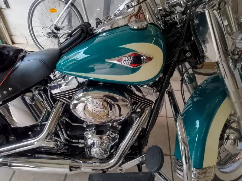 Harley-Davidson 1584 Heritage Classic (2008 - 10) - FLSTC (4)