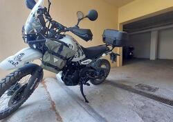 Royal Enfield Himalayan 450 (2024 - 25) usata
