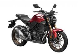 Honda CB 300 R (2022 - 25) nuova