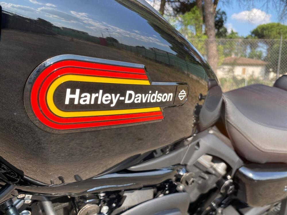 Harley-Davidson Nightster Special (2023 - 25) (5)