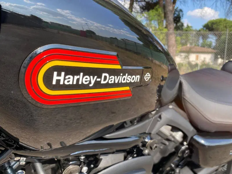 Harley-Davidson Nightster Special (2023 - 26) (5)