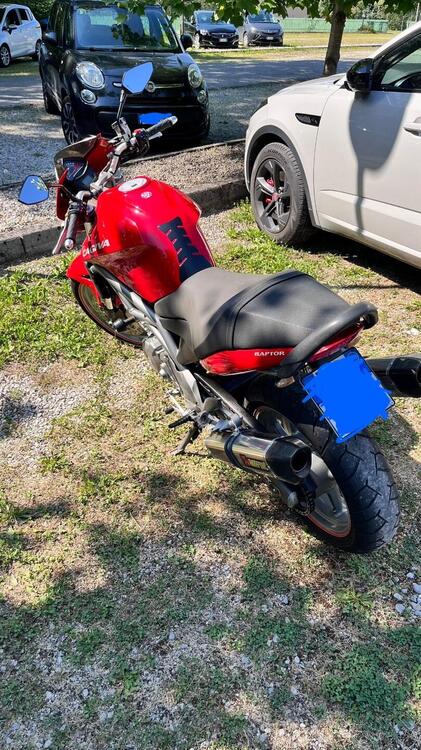 Cagiva Raptor 650 (2005 - 07) (3)