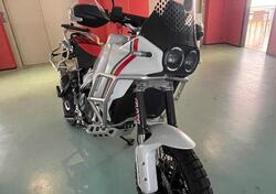 Ducati DesertX (2022 - 25) usata