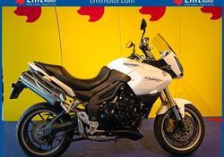 Triumph Tiger 1050 (2006 - 12) usata