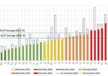 UE: nel 2024 20.017 morti sulle strade, 55 al giorno, solo il 2% in meno rispetto al 2023