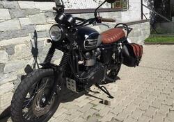 Triumph Scrambler (2006 - 17) usata