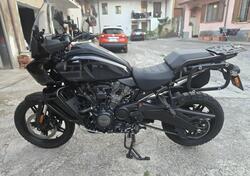 Harley-Davidson Pan America 1250 Special (2020 - 25) usata