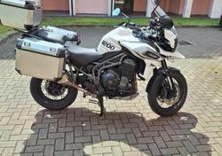 Triumph Tiger 1200 XCa (2018 - 20) usata