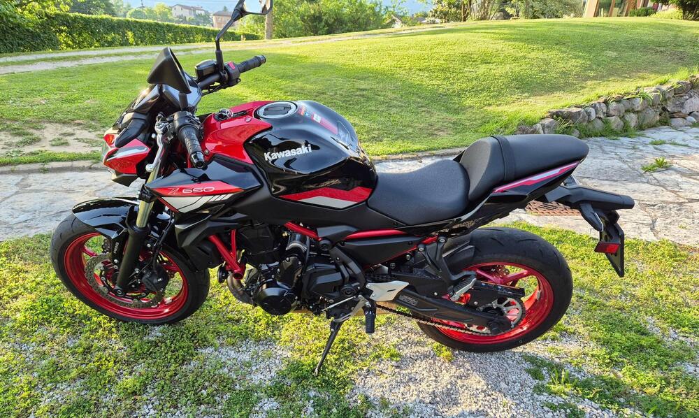 Kawasaki Z 650 (2021 - 24) (3)