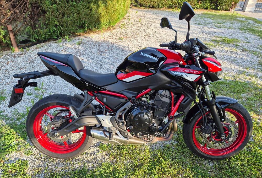 Kawasaki Z 650 (2021 - 24)