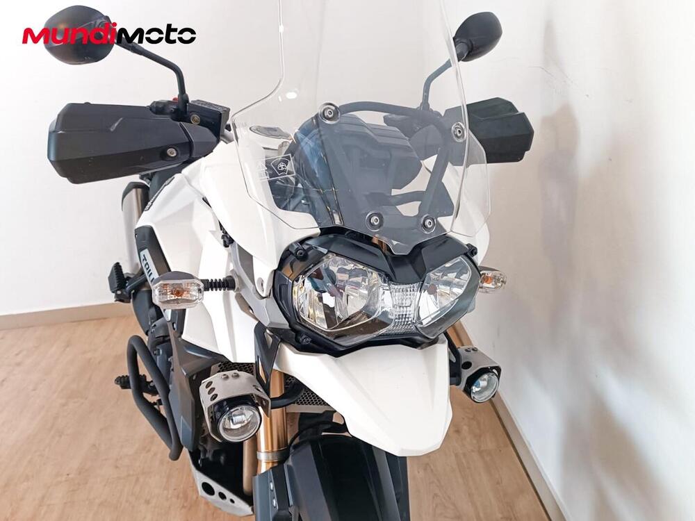 Triumph Tiger 1200 GT Explorer (2022 - 23) (4)