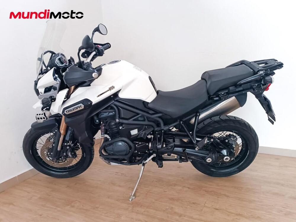 Triumph Tiger 1200 GT Explorer (2022 - 23) (5)