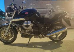 Moto Guzzi Breva 850 (2006 - 11) usata