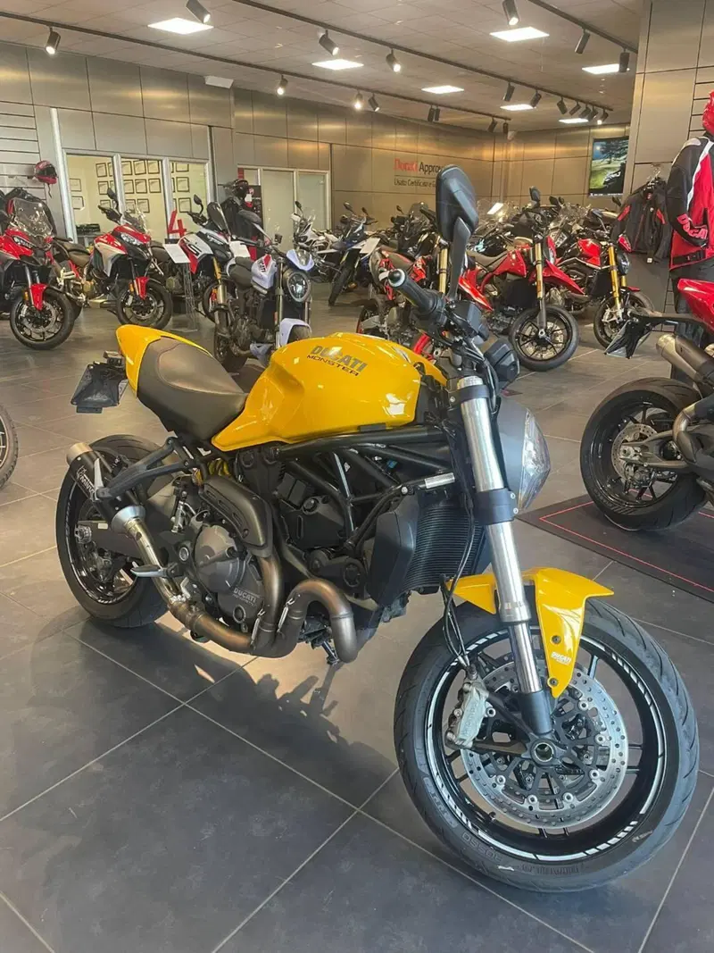 Ducati Monster 821 (2018 - 20) (11)
