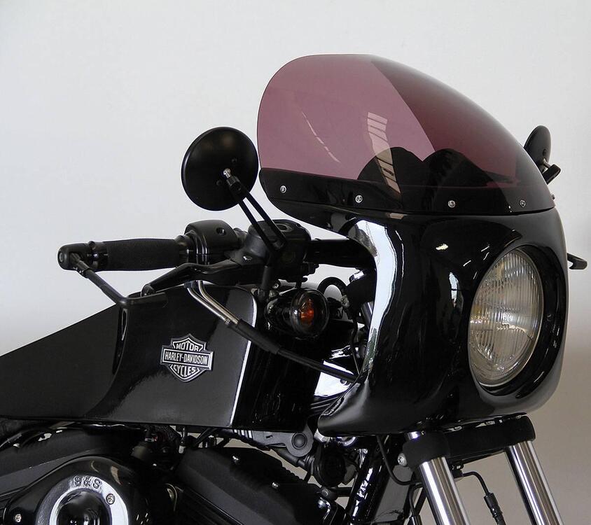 Harley-Davidson 883 R (2006 - 07) - XL 883R (4)