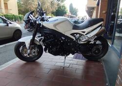 Triumph Speed Triple 1050 (2005 - 11) usata