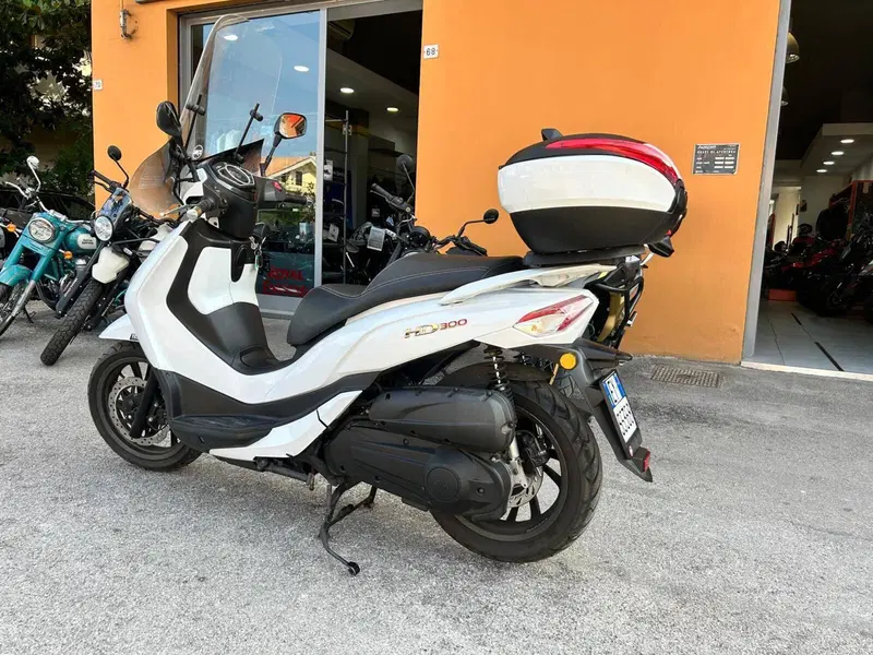 Sym HD 300 (2021 - 25) (2)