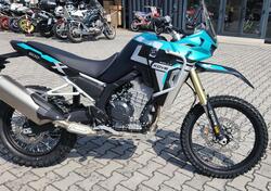Kove 800 Rally (2025) nuova