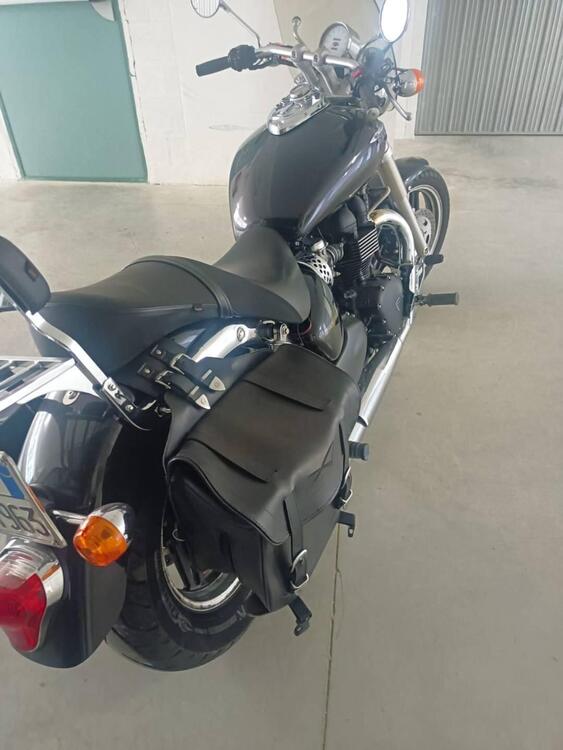 Triumph America (2011 - 16) (2)