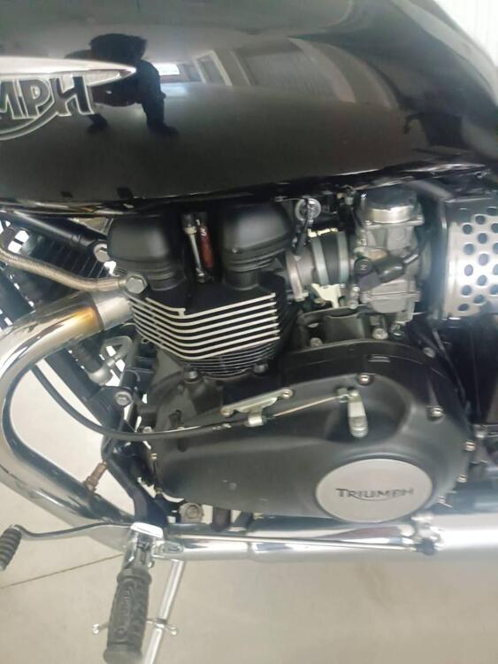 Triumph America (2011 - 16) (4)