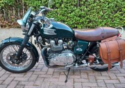 Triumph Bonneville T100 (2001 - 07) usata